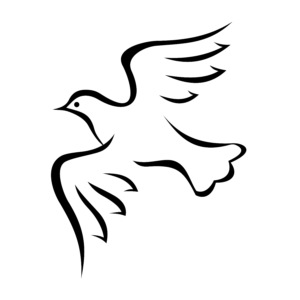 Dove Magic