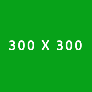 Side Bar Banner Ad 300x300 copy