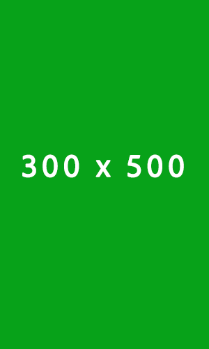 Side Bar Banner Ad 300x500 copy
