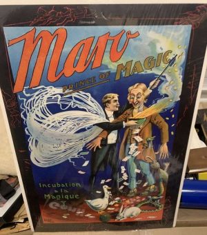 MARO INCUBATION
